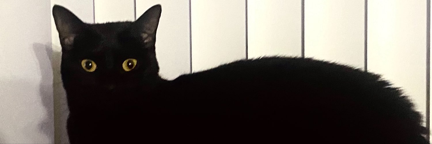 _Araignee_'s banner