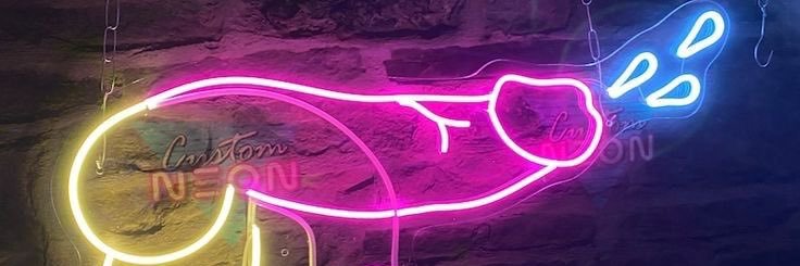 El Palo 🍆's banner