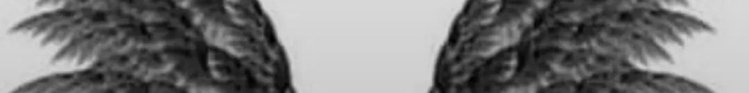 أُنثى بنكهةِ القهوة🤎.'s banner