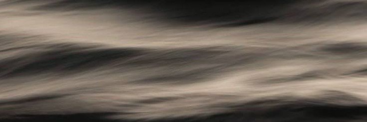 nina's banner