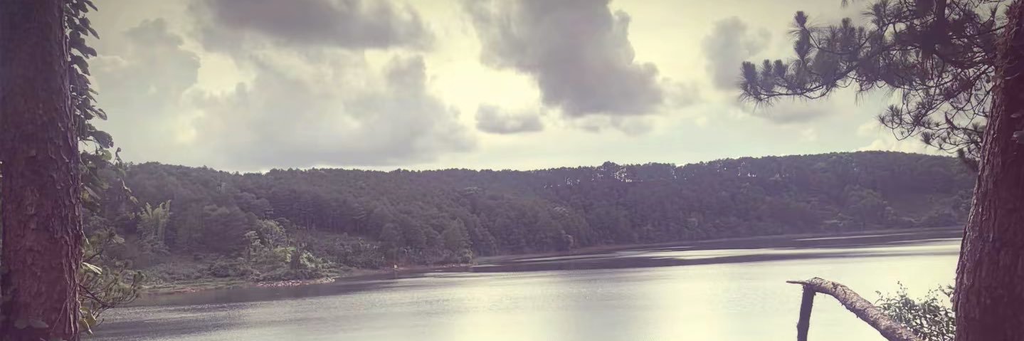 Tâm Tâm 🫣's banner
