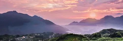 诗歌年华's banner
