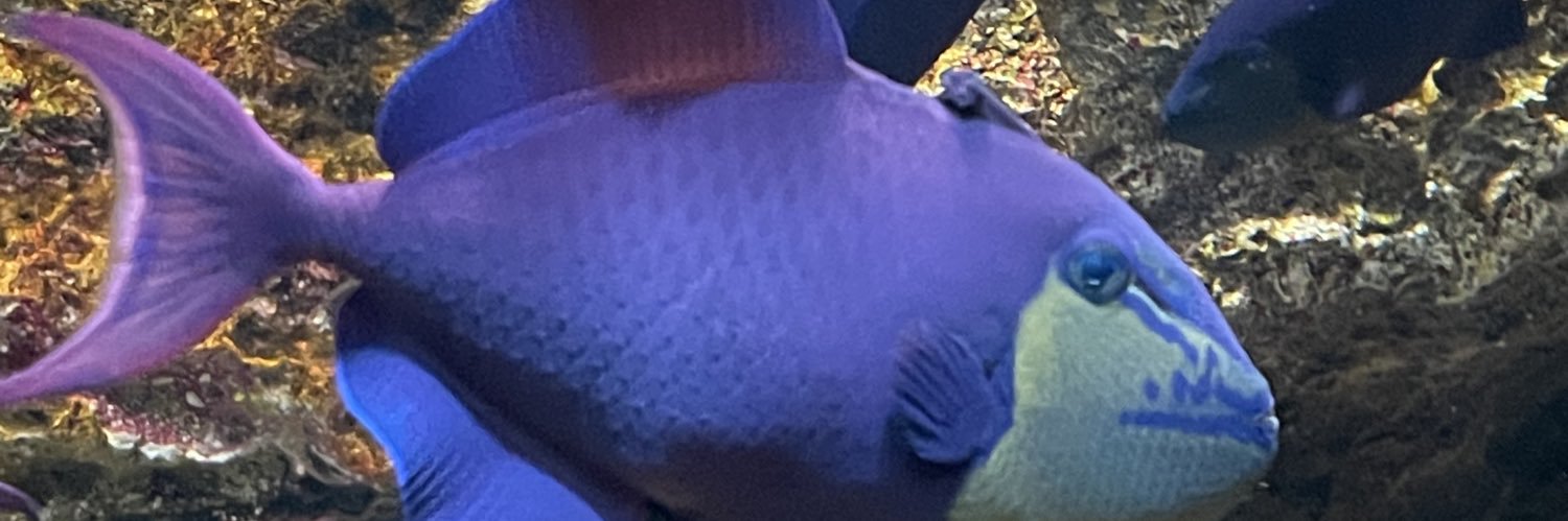 もずくっこ's banner