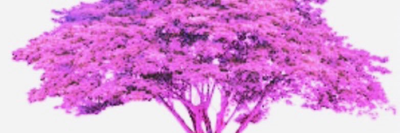 rib ❀'s banner
