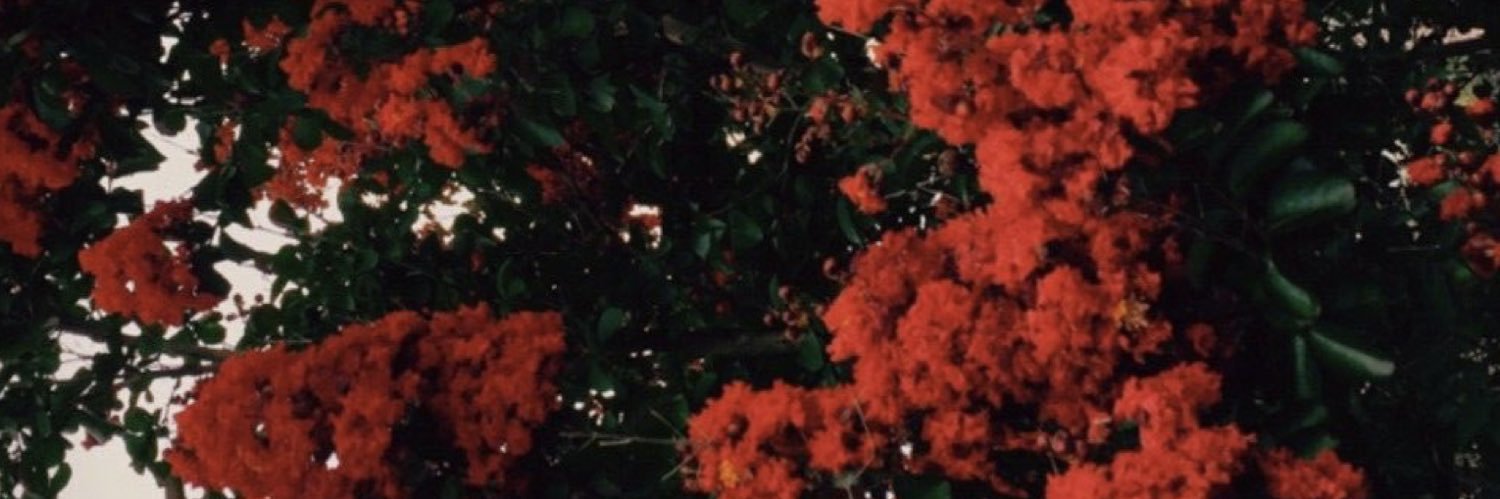CiCi's banner