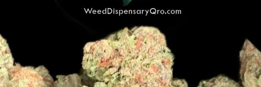 WeeddispensaryQro's banner
