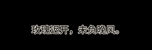 雅雅's banner