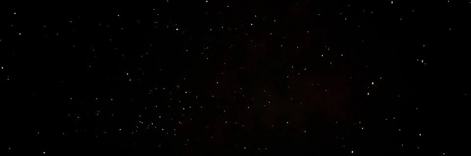 幼犬's banner