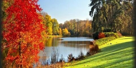 ..(ABU.OMAR.ابو عمر)'s banner