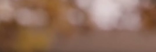 21's banner
