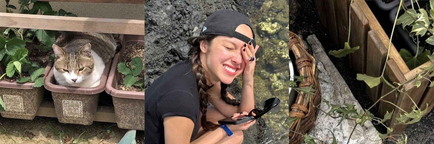 gab ⚢ off pq ta internada's banner