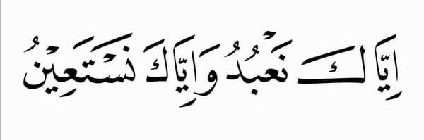 امؔ یحیی's banner