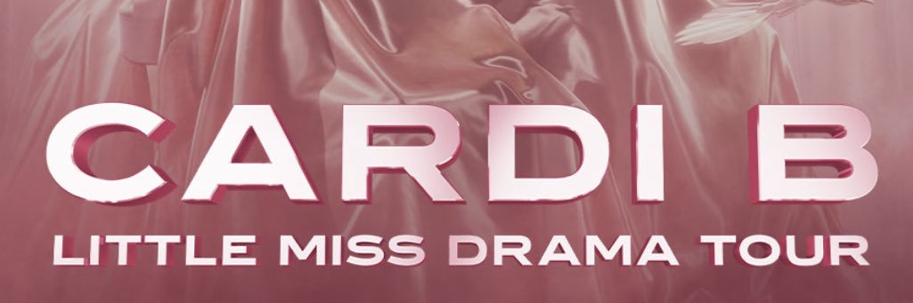 BIRKINBAG B's banner