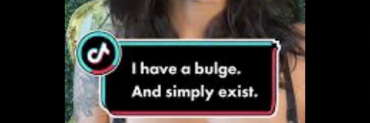 TIKTOKBULGES's banner