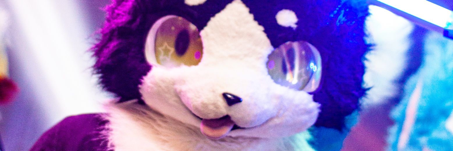 Raincat's banner