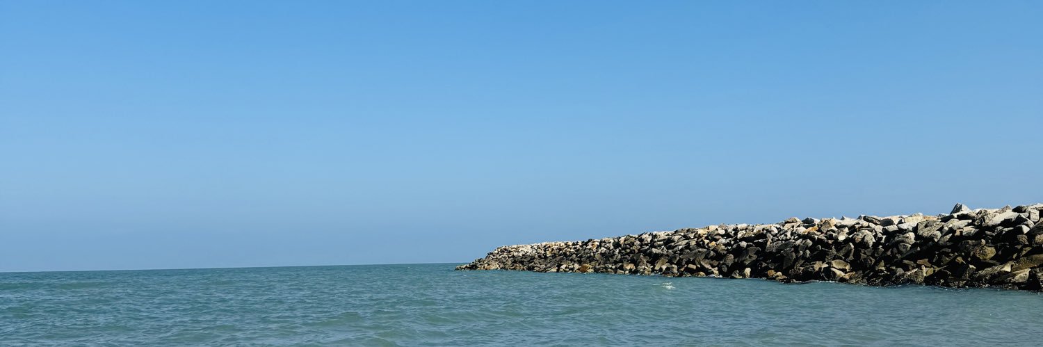 Ana De Parottamass's banner