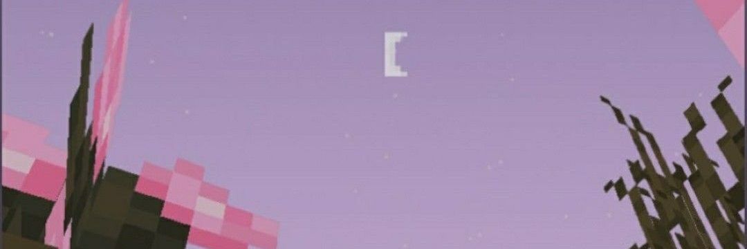K_🦇's banner