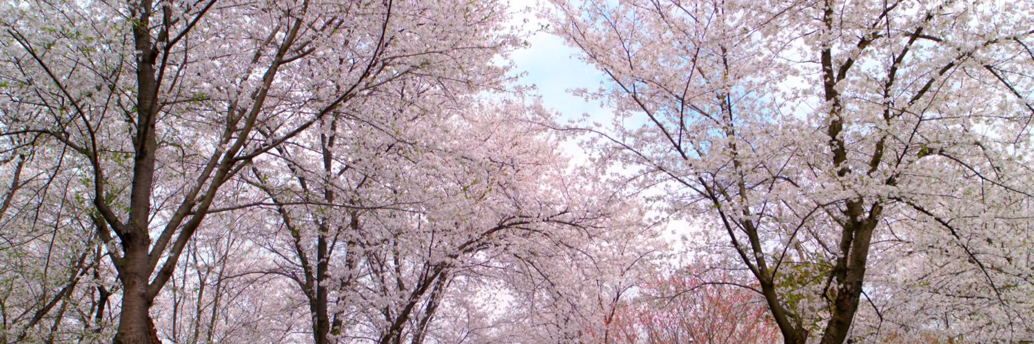 xixi's banner