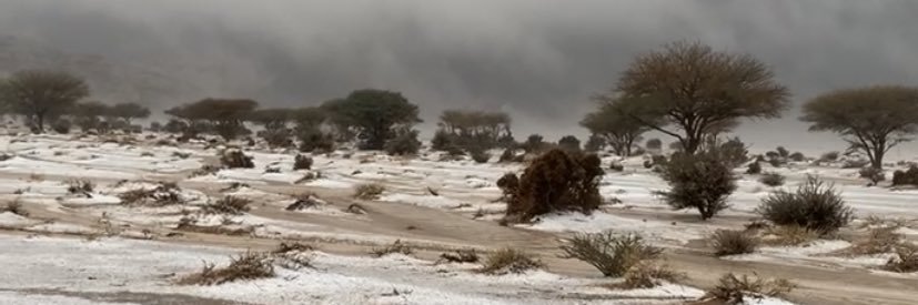 فهد بجاد الحربي's banner