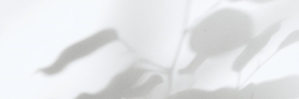 𝐁𝐥𝐚𝐧𝐜.'s banner