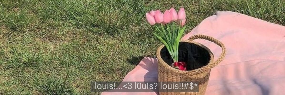 rocío ◟̽◞̽'s banner