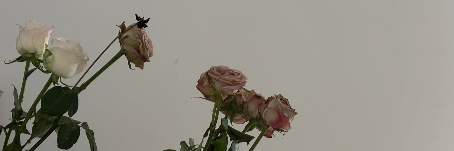 荔枝's banner