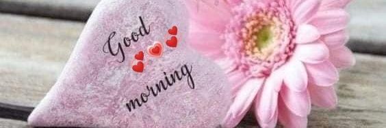 💞Mocha💞Moxa💞's banner