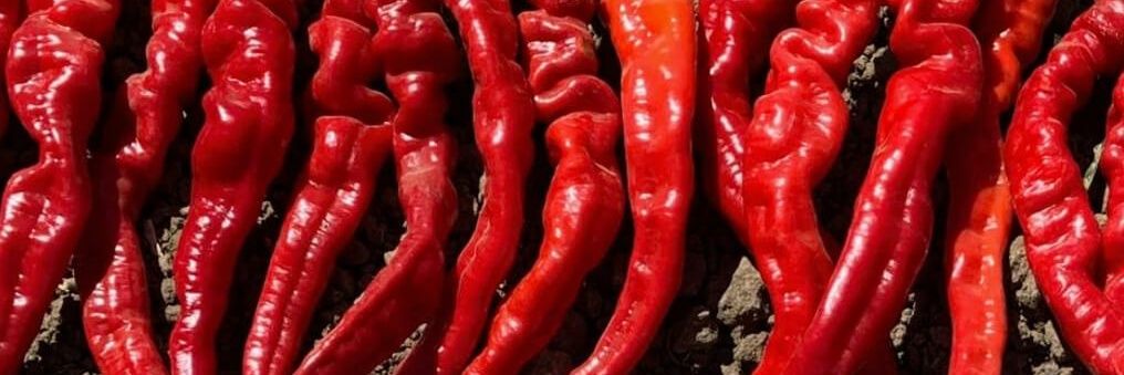 Cayenne Pepper's banner
