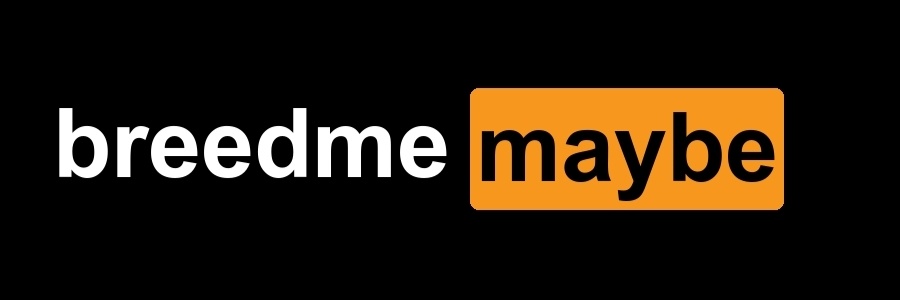 Alex 🧡's banner