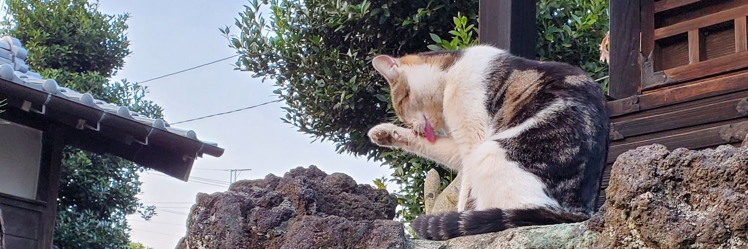 甚左エ門のねこといぬ's banner