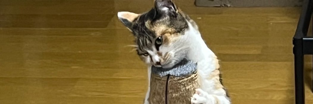 でん's banner