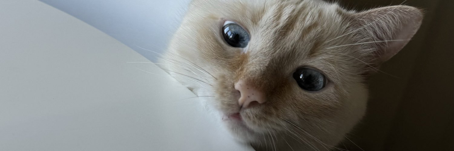 Секретный миллионер's banner