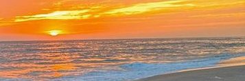 ¤●🔞Descubierto🔞●¤'s banner