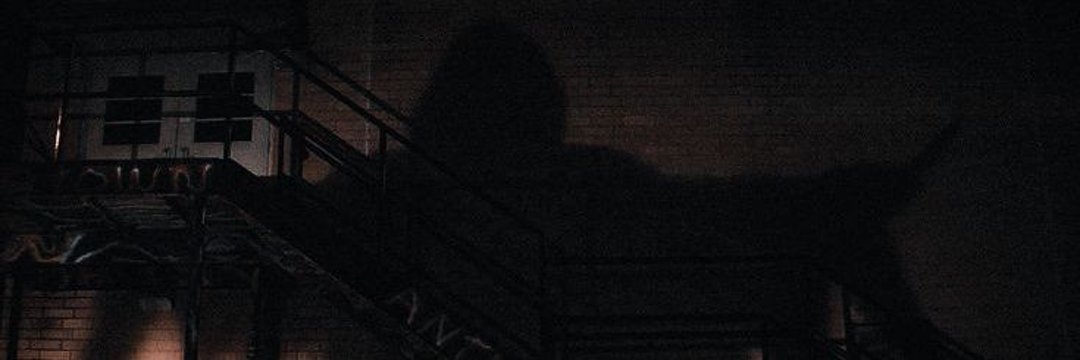 moon viu a Camila's banner