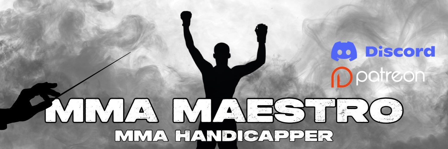Maestro MMA's banner