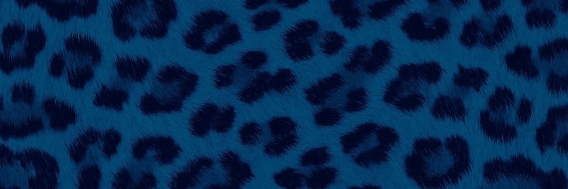 obe's banner