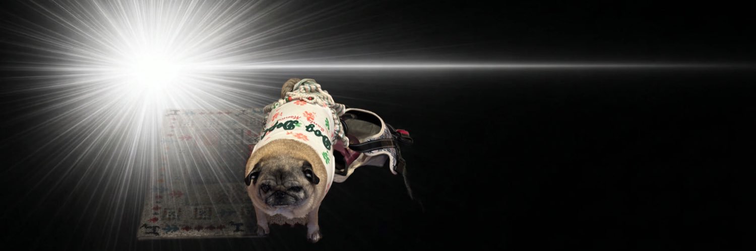 パグ（犬）はいいぞ局長⛄️🌸💉🌊's banner