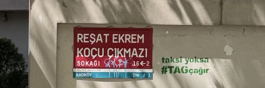 Seda Elyıldırım's banner