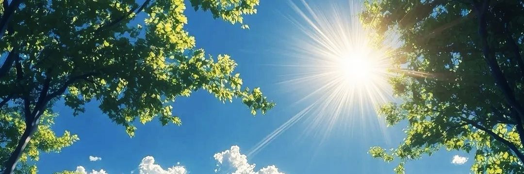 Lumen ☀️'s banner