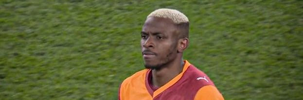 berk's banner
