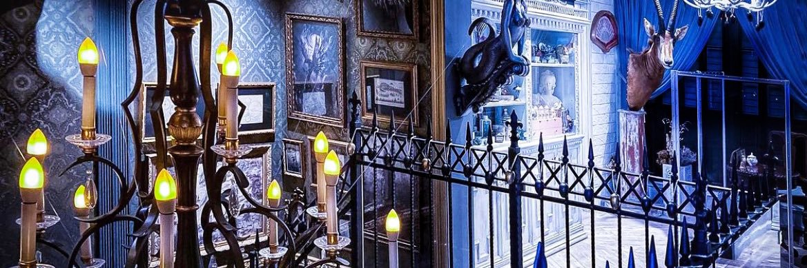 CHAMBER OF RAVEN's banner