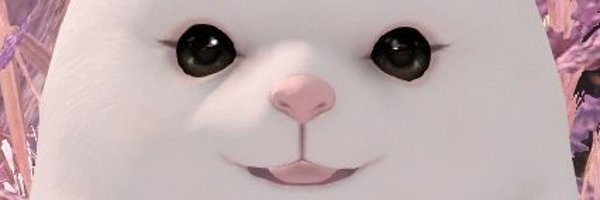 pinpin's banner