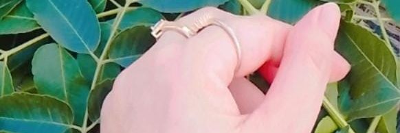 Sara N Sarim 🌈🏳️‍🌈's banner