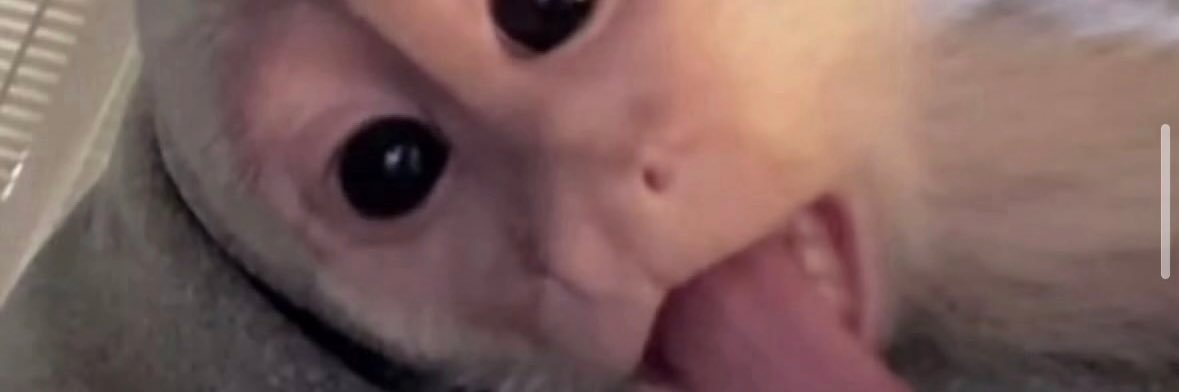 Nayely 🎀✨'s banner