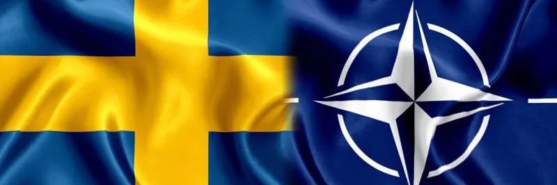 Katarina Tolgfors 🇸🇪's banner