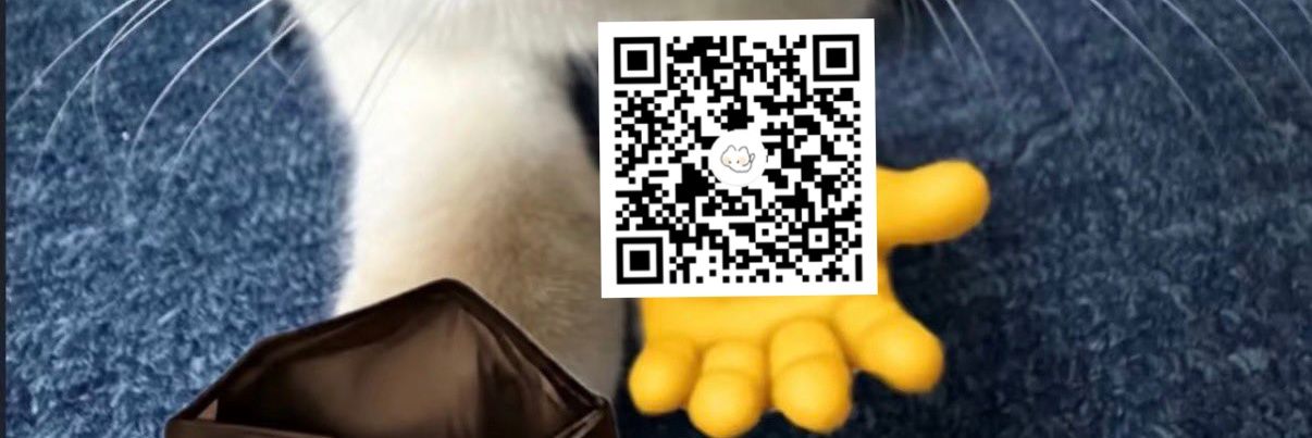 Lin Lin (Dca)'s banner