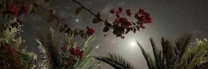 Kai's banner