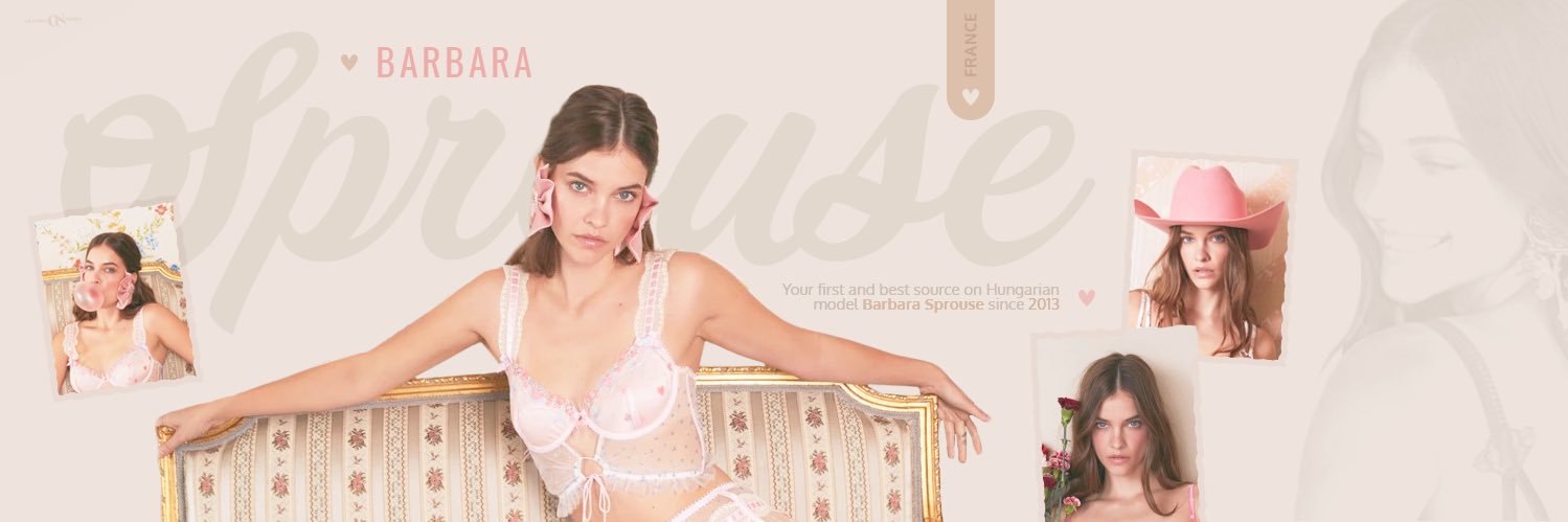 Barbara Palvin Access's banner