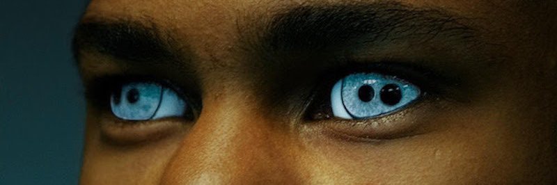 zander's banner