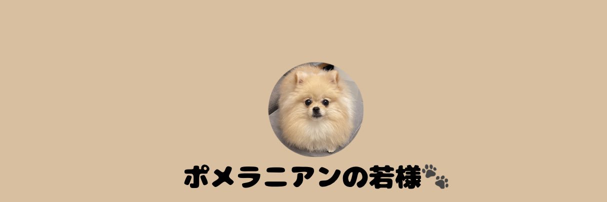 ポメラニアンの若様's banner